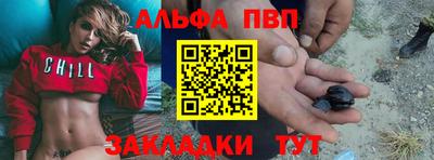 стаф Кингисепп