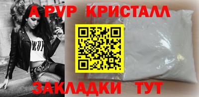 стаф Кингисепп