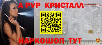 стаф Кингисепп